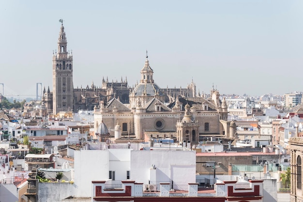 Kolegiata Boskiego Zbawiciela Katedra w Sewilli i Giralda Sewilla Hiszpania