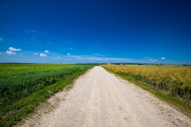 Koleiny kół jak autostrada z błękitnym niebem