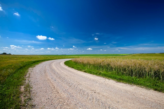 Koleiny kół jak autostrada z błękitnym niebem