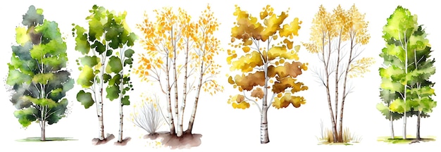 Kolekcja drzew akwarelowych Zestaw ręcznie rysowanych drzew Pakiet drzew leśnych Generatywna brzoza Ai