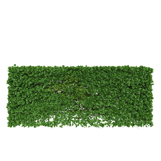 Kolekcja drzew modeli renderowania 3D