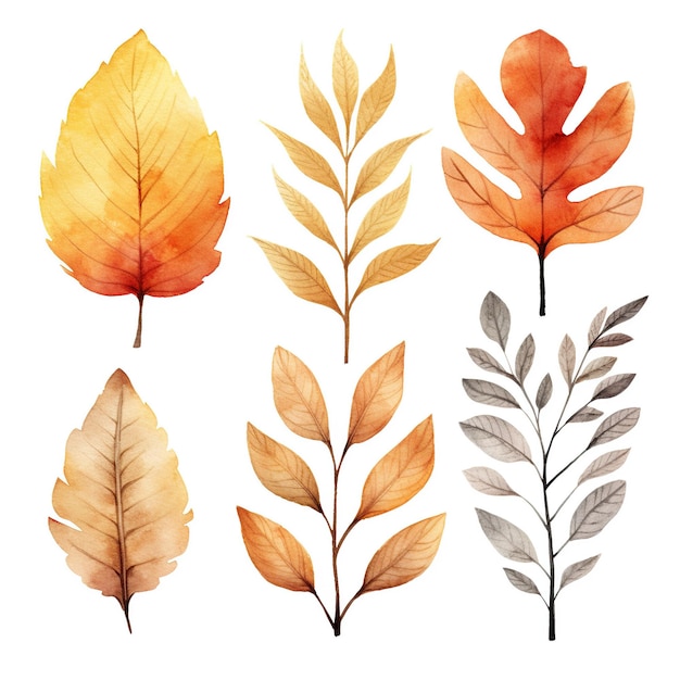Kolekcja jesiennych liści zestaw ilustracji akwarelowych