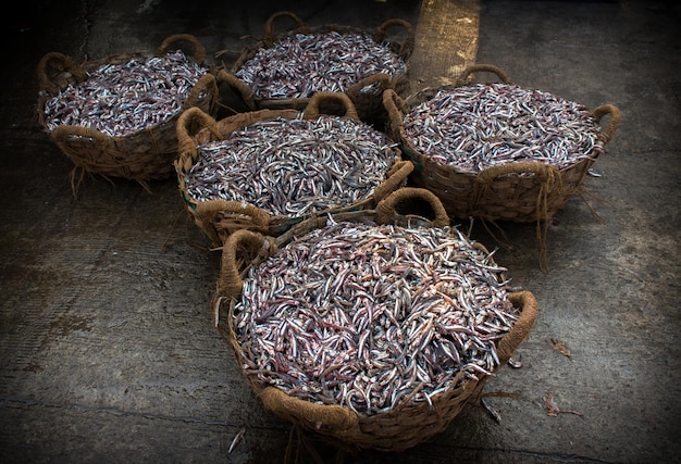 Kolekcja ryb Anchoviella lepidentostole w koszyku na sprzedaż