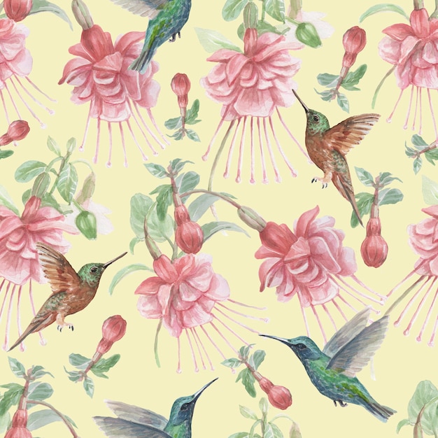 Kolibry I Kwiaty Fuksji Ptaki Akwarela Ręcznie Rysowane Ilustracja