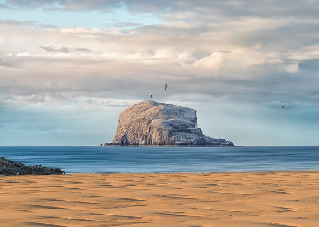 Kolonia głuptaków północnych. Bass Rock jest w świetle słonecznym i burzowych chmurach. North Berwick. East Lothian. Szkocja