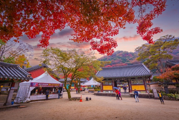Kolorowa jesień z pięknymi liśćmi klonu w świątyni Baekyangsa w parku narodowym Naejangsan w Korei Południowej