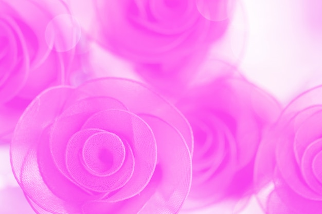 Kolorowa róża kwitnie tkaninę robić z gradientem dla tła