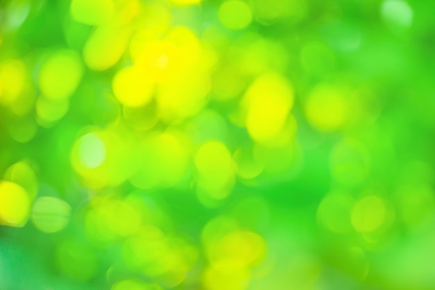 Kolorowa zielona nieostre tekstury dla twojego projektu Niewyraźne zielone tło naturalne z bokeh