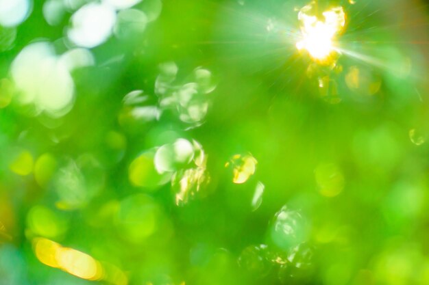 Kolorowa zielona nieostre tekstury dla twojego projektu Niewyraźne zielone tło naturalne z bokeh