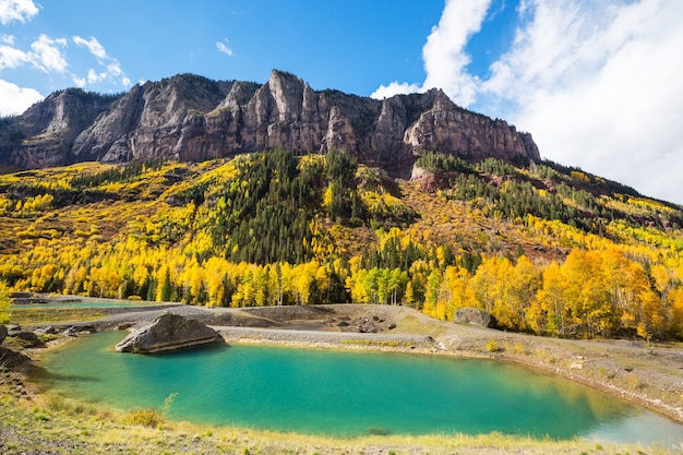 Kolorowa żółta jesień w Kolorado, Stany Zjednoczone. Jesień.
