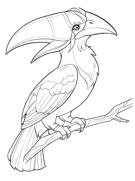 Kolorowanie Strona zarys uroczy Great hornbill Bold linia biały kolor