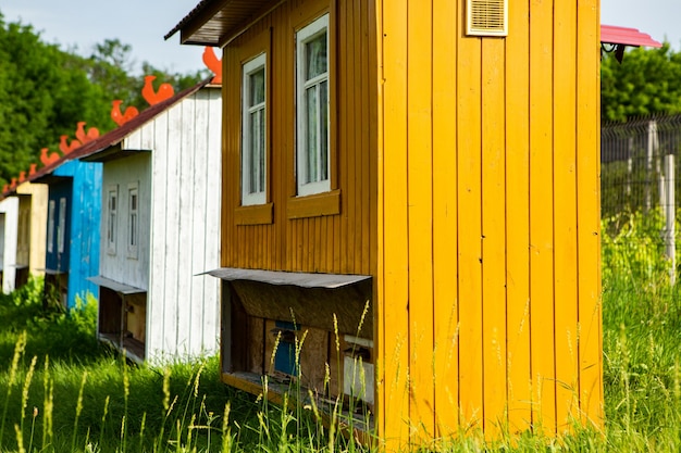 Kolorowe domy pszczół na zielonej łące na wsi