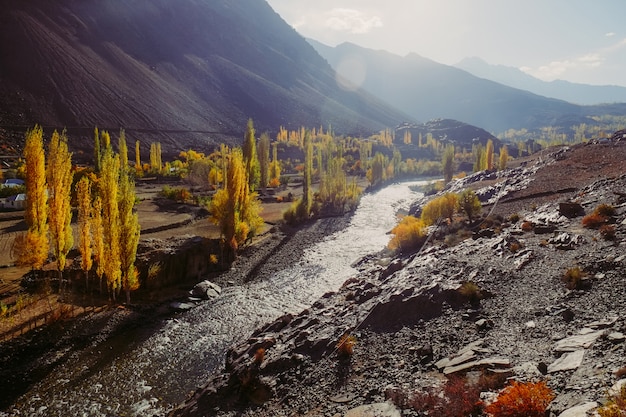 Kolorowe drzewa jesienią z błyszczącą rzeką Gilgit na tle gór Hindu Kush