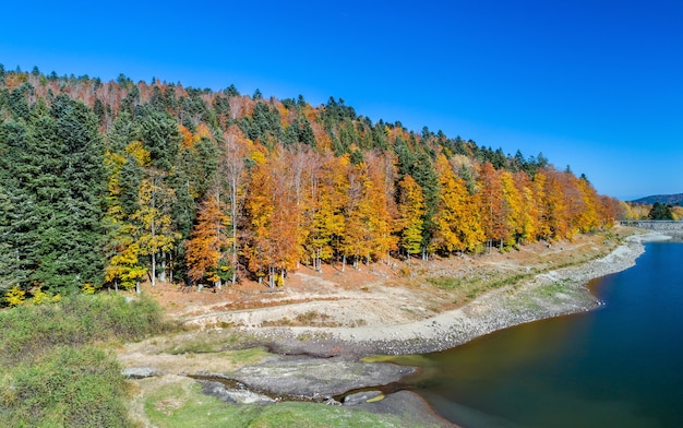 Kolorowe Drzewa Nad Jeziorem Lac De La Lauch W Wogezach - Górny Ren, Francja