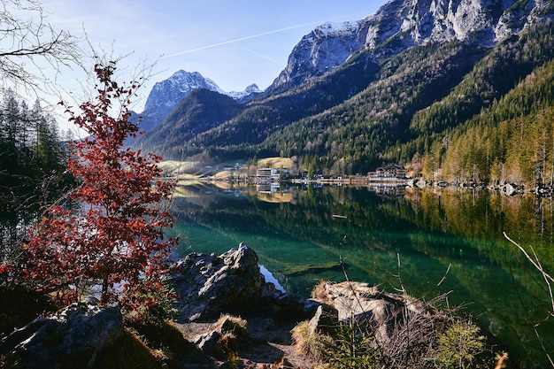 Kolorowe drzewo nad jeziorem Hintersee