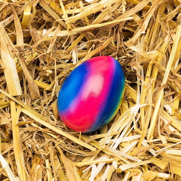 Kolorowe jajko wielkanocne w kolorach tęczy leży w słomie. Zrobione w Studio ze znakiem 5D III.