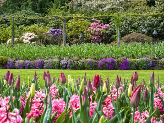 Kolorowe kwiaty i zielone rośliny w słoneczny dzień w Butchart Gardens Victoria BC Kanada