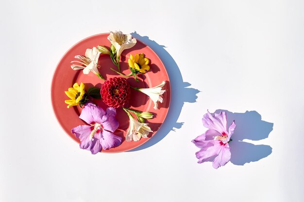 Kolorowe kwiaty na różowym talerzu na białym tle