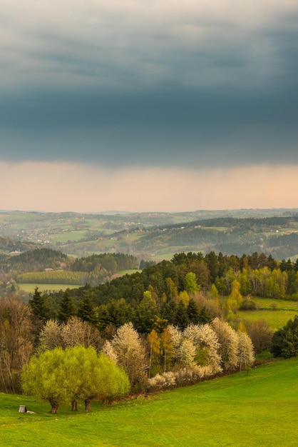 Kolorowe kwitnące drzewa na wiosnę na wsi