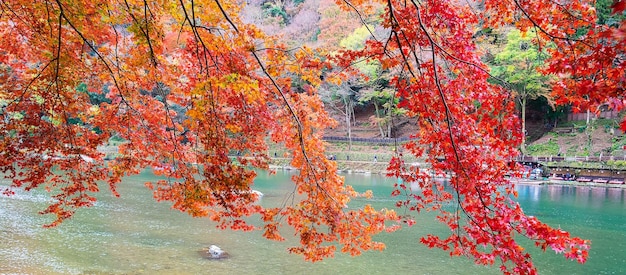 Kolorowe liście, góry i rzeka Katsura w krajobrazie Arashiyama i popularne wśród atrakcji turystycznych w Kioto Japonia Jesień Sezon jesienny Koncepcja wakacji i zwiedzania