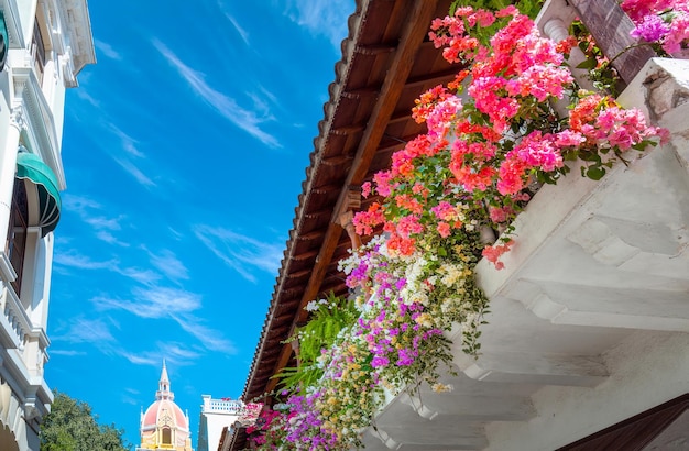 Kolorowe miasto Cartagena Walled City Cuidad Amurrallada w historycznym centrum miasta