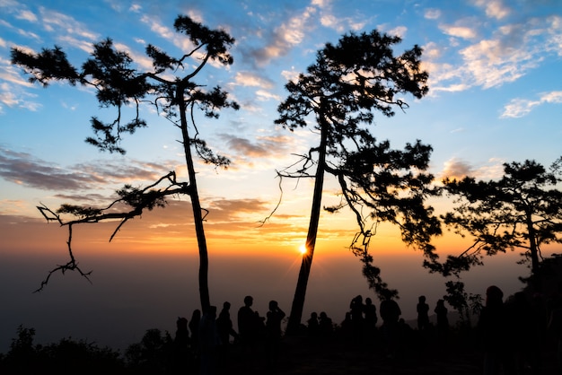 Kolorowe niebo i sylwetka ludzi widzących wschód słońca w Phukradueng National Park, Tajlandia.