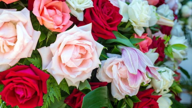 Kolorowe świeże róże lub wielokolorowe tło róż Piękny bukiet róż na walentynki