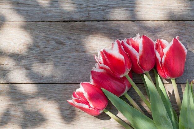 Kolorowe tulipany na stole ogrodowym