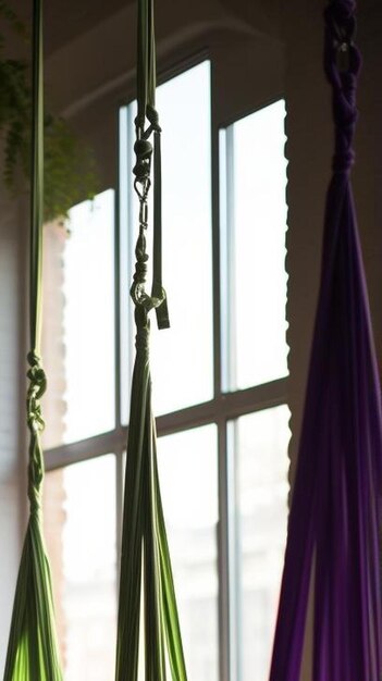 Zdjęcie kolorowe zielone i fioletowe huśtawki do sesji jogi w powietrzu wiszące na liniach w lekkim przestronnym studio