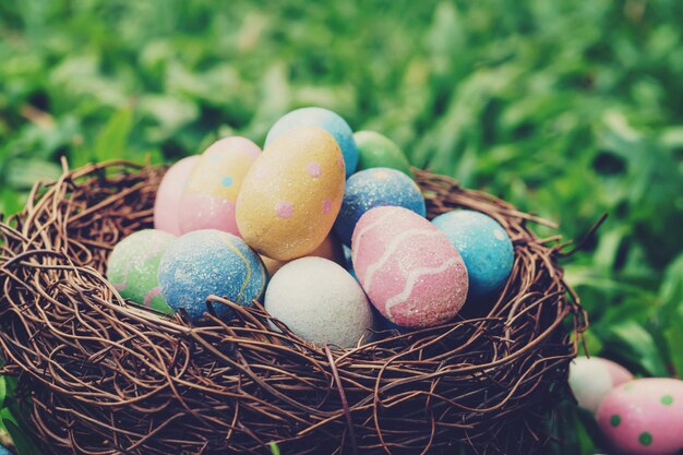 Kolorowi Easter jajka i gniazdeczko na zielonej trawie z światłem słonecznym. vintage stonowanych.