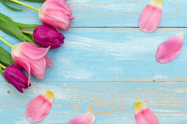 Kolorowi różowi tulipany na błękit malującej wiośnie. Pocztówka Wiosna z miejsca kopiowania