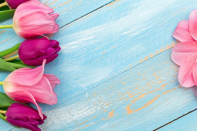 Zdjęcie kolorowi różowi tulipany na błękit malującej wiośnie. pocztówka wiosna z miejsca kopiowania