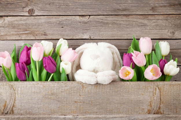 Kolorowi tulipany i królika Wielkanocna kartka