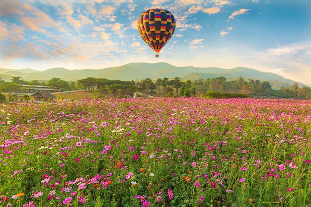 Kolorowy balon nad pięknym kwiatem kosmosu w parku