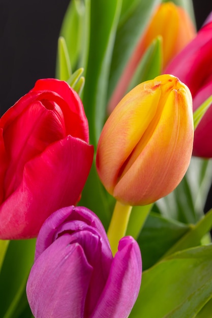 Zdjęcie kolorowy bukiet świeżych kwiatów tulipanów na międzynarodowy dzień kobiet