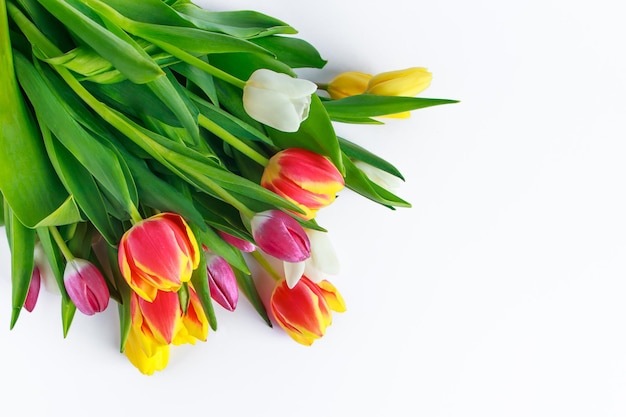 Kolorowy Bukiet świeżych Wiosennych Tulipanów Na Białym Tle Happy Easter Holiday Symbol