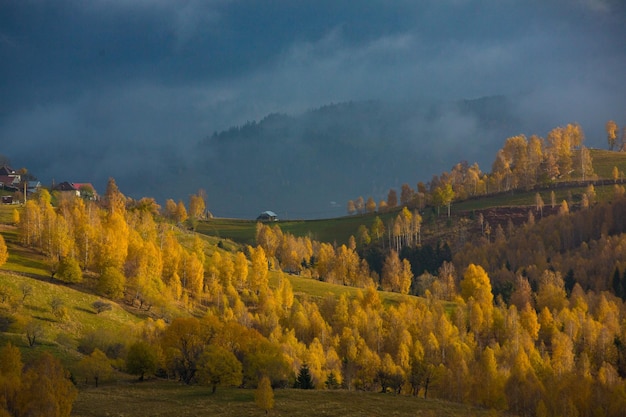 Kolorowy jesienny krajobraz w górskiej wiosce. Mglisty poranek w Karpatach w Roma