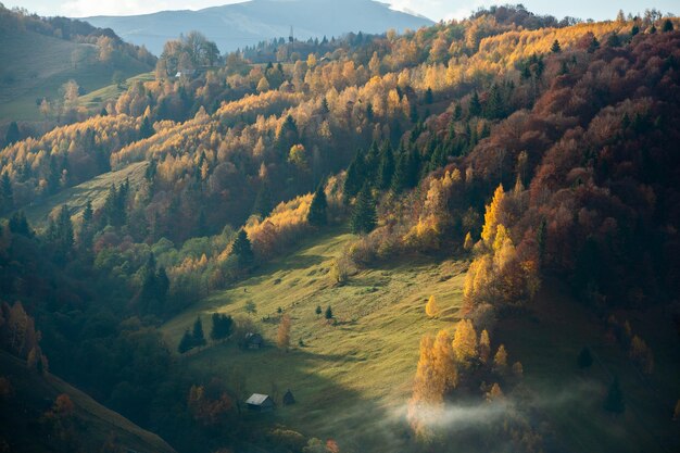 Kolorowy jesienny krajobraz w górskiej wiosce. Mglisty poranek w Karpatach w Roma