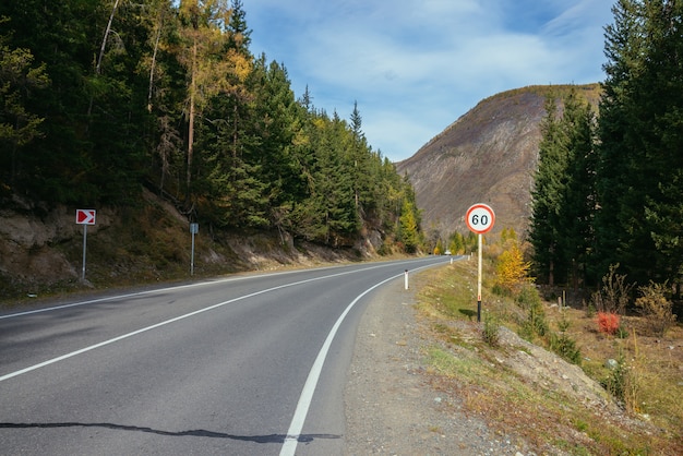 Kolorowy Jesienny Krajobraz Z Modrzewiami Z żółtymi Gałęziami Wzdłuż Górskiej Autostrady. Las Iglasty Z żółtymi Modrzewiami Wzdłuż Górskiej Drogi W Jesiennych Kolorach. Autostrada W Górach W Czasie Jesieni.