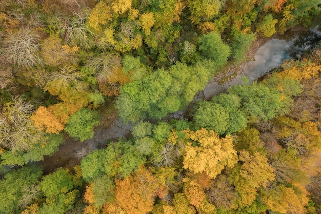 Kolorowy jesienny widok na góry kaukazu, wspaniały widok na żółte drzewa, widok na dół