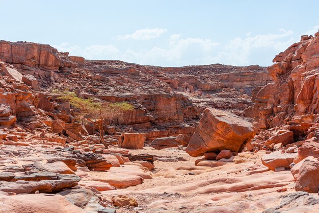 Kolorowy kanion Salam na półwyspie Synaj, piękne zakrzywione kamienie wapienne.