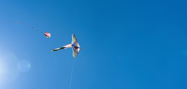 Kolorowy latawiec szybuje wysoko na niebie Błękitne niebo Sportowy festiwal latawców Czysty poniedziałek w Grecji Latający latawiec z wijącym się ogonem Transparent Copyspace