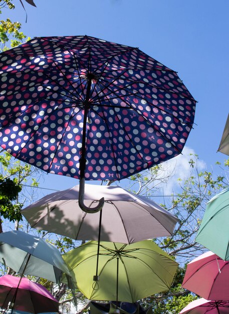 Kolorowy parasol sufitowy z roślinami obok w słoneczny dzień