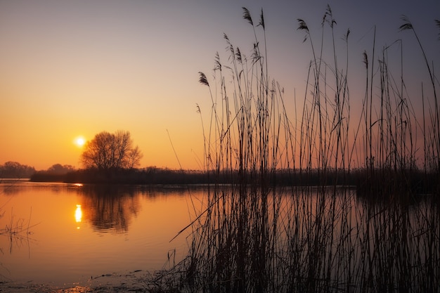 Zdjęcie kolorowy zachód słońca nad jeziorem. czerwone i pomarańczowe niebo. poranna scena