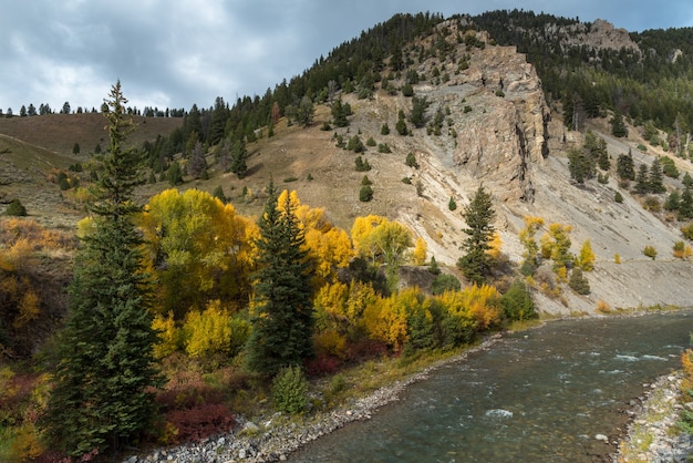 Kolory jesieni w Wyoming