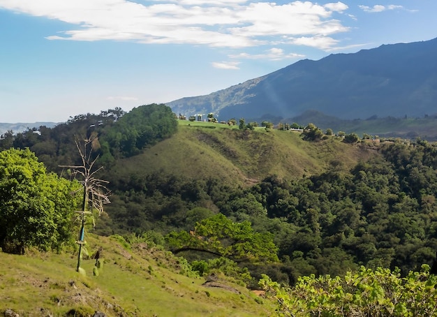 Kolumbijska przyroda szerokokątne ujęcie drzew i lasów na górze w ciągu dnia