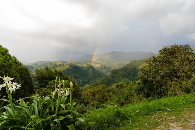 Kolumbijski krajobraz pochmurne góry z tęczami w regionie uprawy kawy w Kolumbii