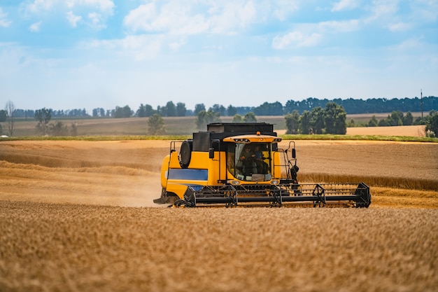 Kombajn Do Zbioru Pszenicy. Sprzęt Do Zbioru Ziarna Na Polu. Czas Zbiorów