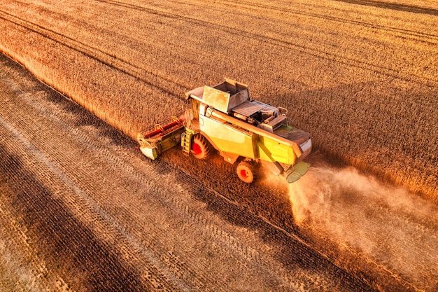 Kombajn do zbioru zbóż żniwa w polu