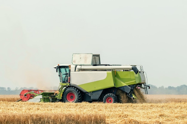 Kombajn zbożowy pracujący na polu pszenicy. Zbieranie pszenicy.